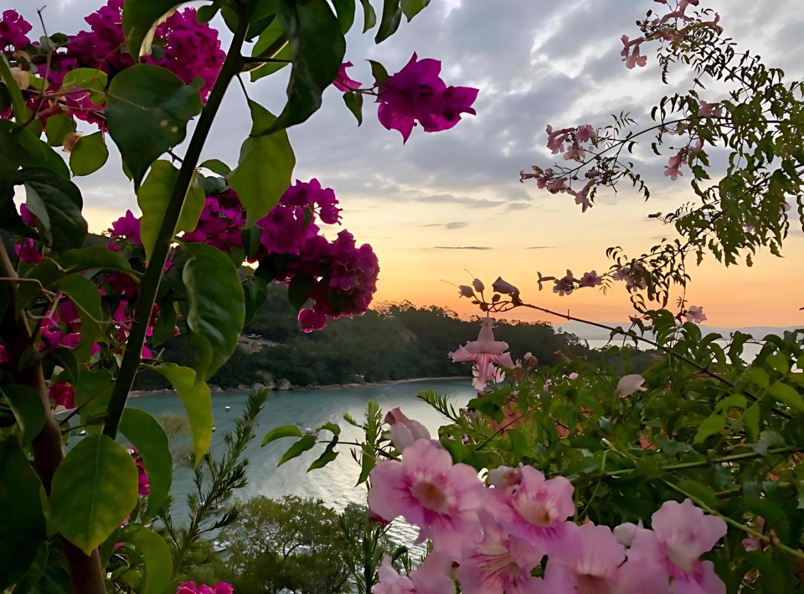 גוברנדור סלסו רמוס Mar De Bougainville מראה חיצוני תמונה